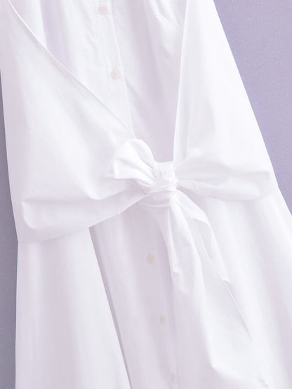Taiwo Elegant Dress