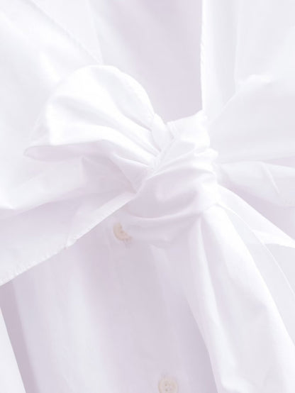 Taiwo Elegant Dress