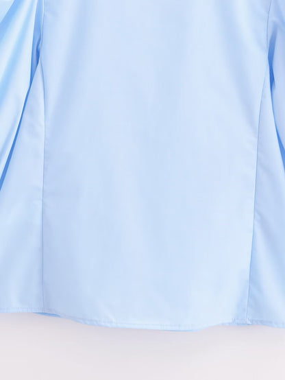 Asha Solid Spring Elegant Top